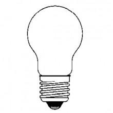 Ancor Medium Screw Bulb AC Lamp