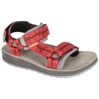 lizard-sh-sandals