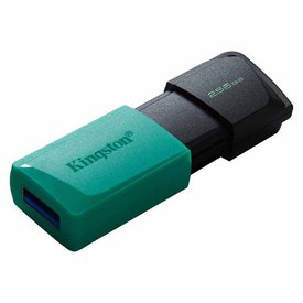 Kingston Clé USB USB 3.2 256GB