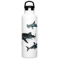 Fish tank Hai-Poster-Flasche 600ml