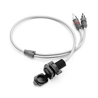 Clarion marine Mini Jack 3.5 mm Stereo Cable