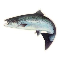 baetis-fish-stickers