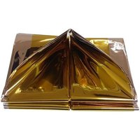 goldenship-couverture-durgence