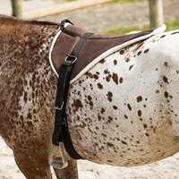 norton-equestrian-horse-saddle-pad
