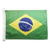 prosea-flag-brasil-100-70