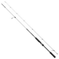 mitchell-tanager-sw-spinning-rod