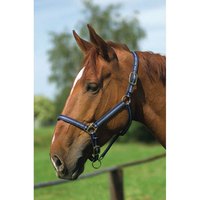 norton-equestrian-nylon-leather-lined-triple-halter