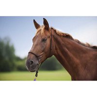 norton-equestrian-soft-dressage-halter