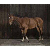 norton-equestrian-soft-extender