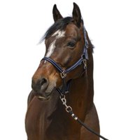 norton-equestrian-grooming-halter