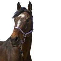 norton-equestrian-nylon-soft-halter