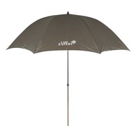 carp-expert-paraguas-logo