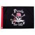 Taylor Pirate For Life Flag