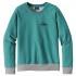 Patagonia Small Flying Fish Midweight Pullover