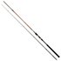Cinnetic Rextail Sea Bass Spinning Rod