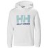 Helly Hansen Logo Junior Hoodie