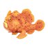 Safari Ltd Chiffre Frogfish