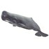 Safari ltd Sperm Whale Figur