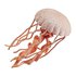 Safari Ltd Jellyfish Sea Life Φιγούρα
