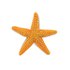 Safari Ltd フィギュア Starfish Sea Life