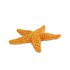 Safari ltd Starfish Sea Life Figur